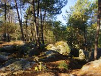 2016-10-09 Les gorges d Apremont 0031